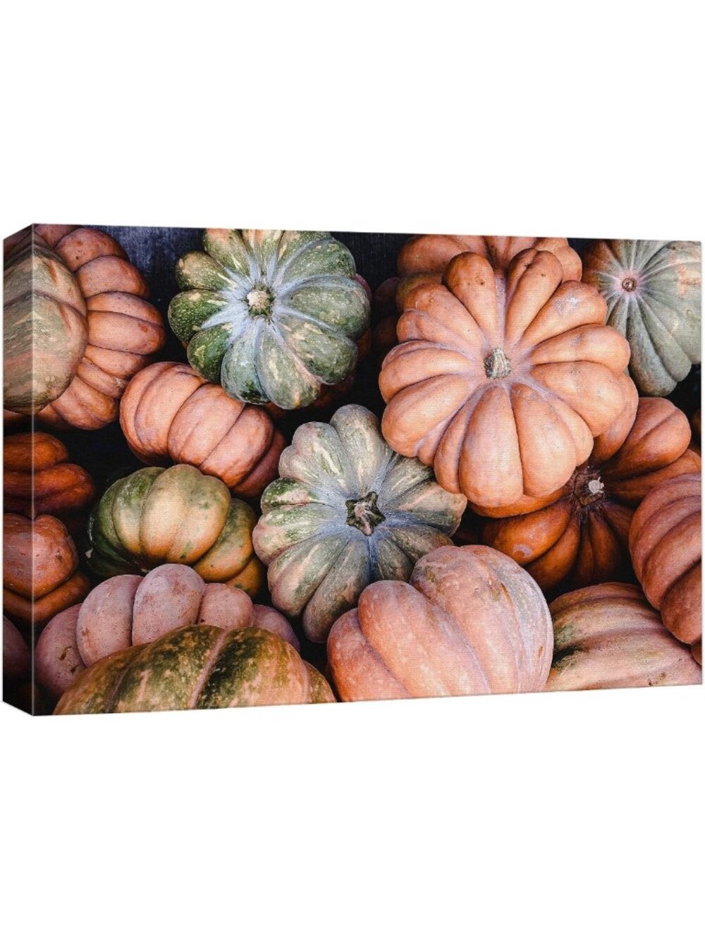 Colorful Autumn Pumpkins Canvas Wall Art - Scenic Nature Photography 32"x48